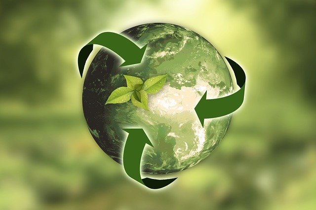 The Co-op Cares About the Earth